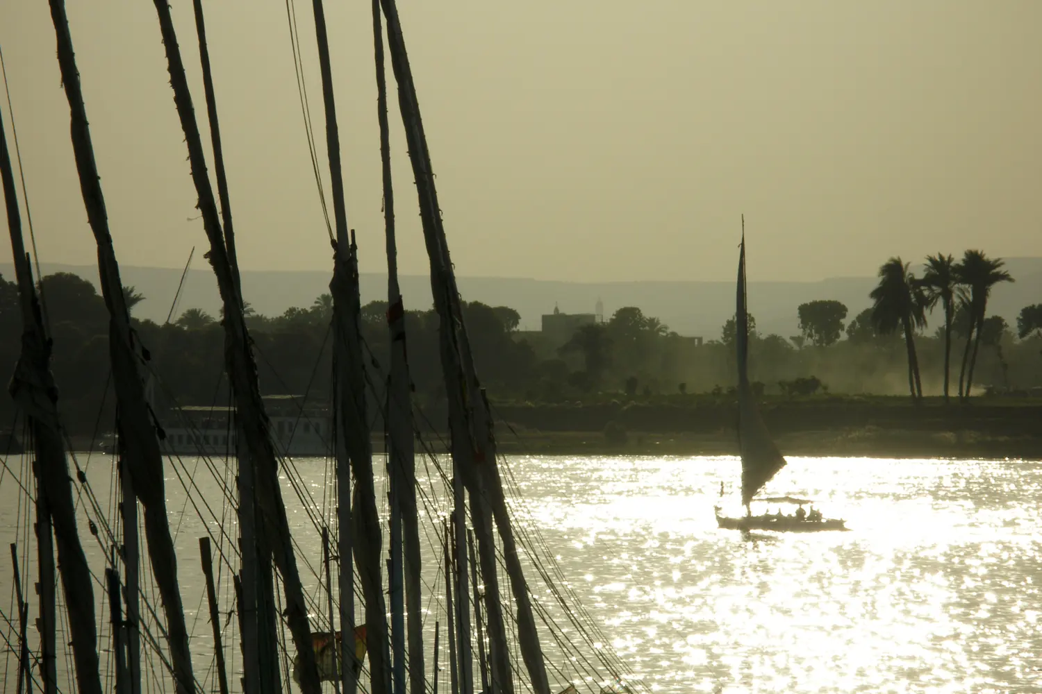 Feluken auf dem Nil bei Luxor im Gegenlicht der Abendsonne